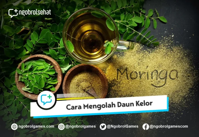 Cara Mengolah Daun Kelor