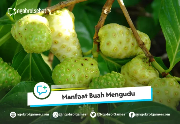 Manfaat Buah Mengkudu Untuk Kesehatan