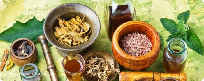 6 ramuan herbal untuk menurunkan tekanan darah tinggi paling ampuh - ngobrol sehat