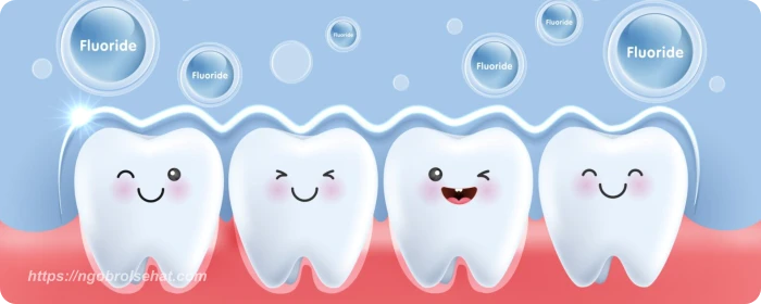 adakah risiko fluoride jika dipakai setiap hari - ngobrol sehat