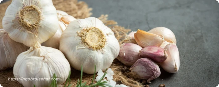 bawang putih - ngobrol sehat