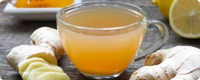 cara menurunkan berat badan 3kg dalam 1 hari minuman detox- ngobrol sehat