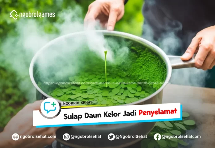 cara merebus daun kelor untuk darah tinggi - ngobrol sehat