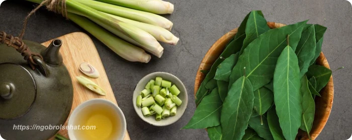 Ramuan Herbal Untuk Menurunkan Tekanan Darah Tinggi