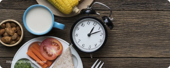 jadwal makan yang ideal - ngobrol sehat
