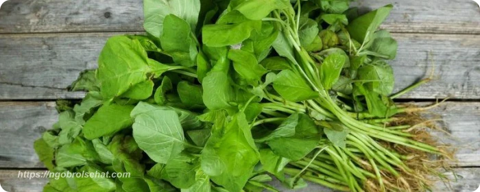 makanan mengandung biotin bayam - ngobrol sehat