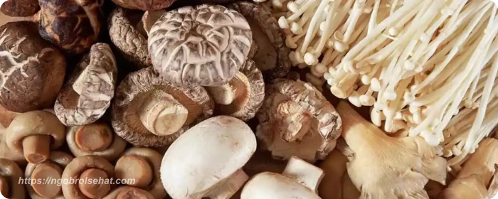 makanan mengandung biotin jamur - ngobrol sehat