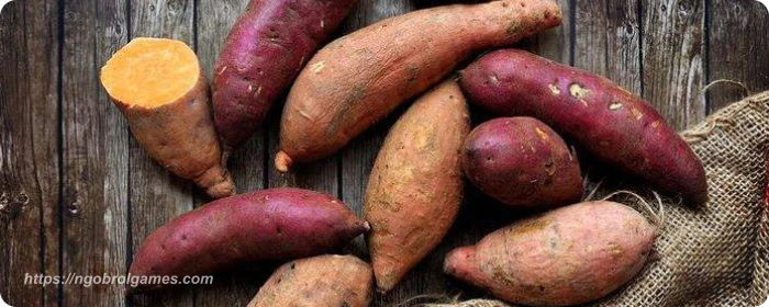 makanan untuk hamil muda ubi jalar - ngobrol games