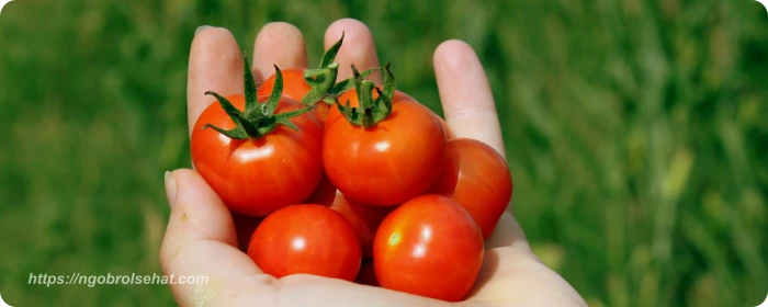 makanan yang bisa menurunkan tekanan darah tinggi tomat - ngobrol sehat