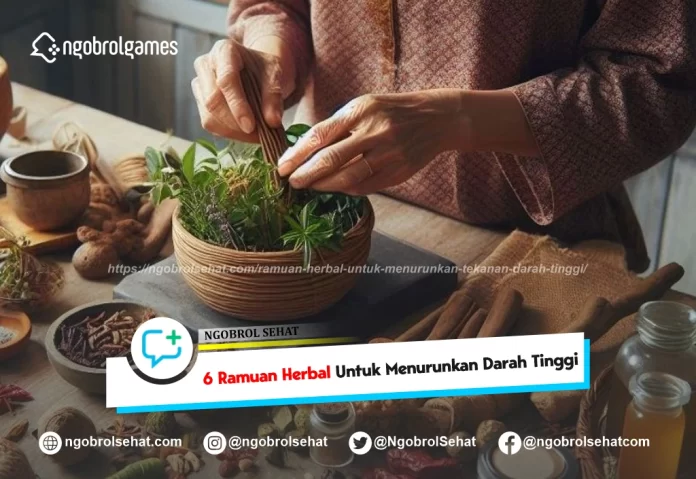 ramuan herbal untuk menurunkan tekanan darah tinggi - ngobrol sehat