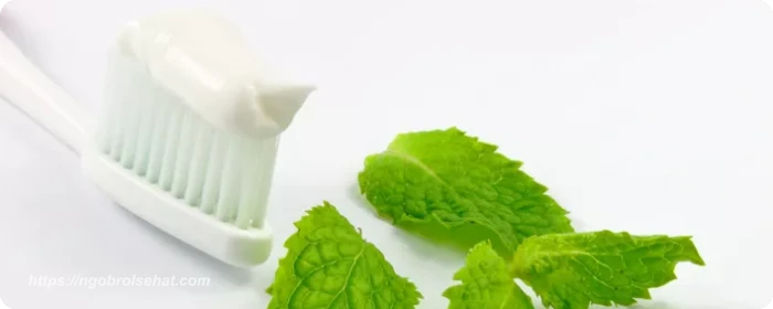 sensasi mint dan segar setiap sikat gigi - ngobrol sehat