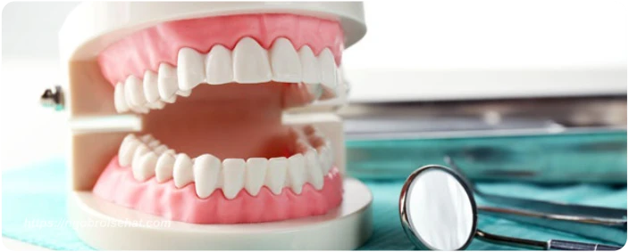 tips mendukung kebiasaan menyikat gigi sehat - ngobrol sehat