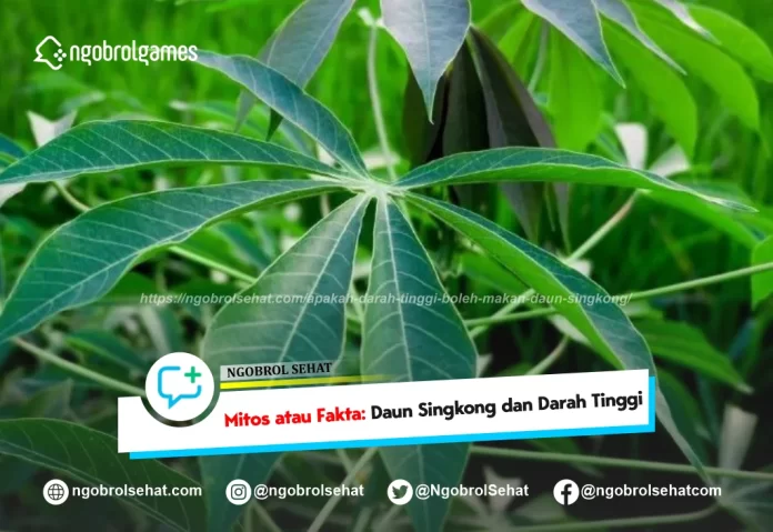 apakah darah tinggi boleh makan daun singkong - ngobrol sehat