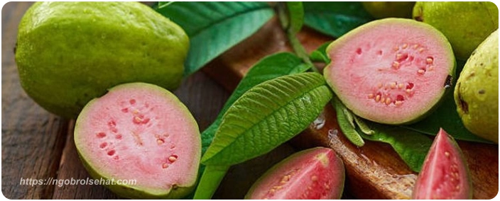 jambu biji - ngobrol sehat