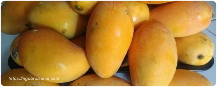 mangga - ngobrol sehat