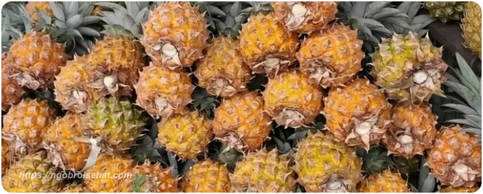 nanas - ngobrol sehat